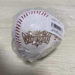 阪神2023年日本一記念ボールNPB統一球　台座、ケースなし 限定品】阪神タイガース2023日本一記念ケース付きボール - メルカリ
