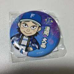 日ハム ピンバッチ 2013 2025年最新】Yahoo!オークション -日本ハムファイターズ