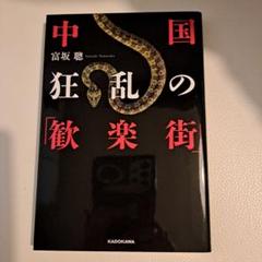 中国狂乱の「歓楽街」