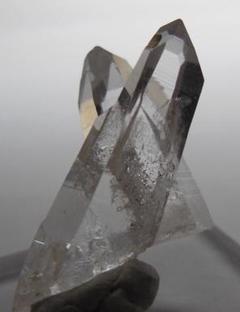 *虹入り* 希少 初期 コロンビアレムリアン イシス パストタイムリンク 虹の女神* 希少 初期 コロンビアレムリアン イシス パストタイム