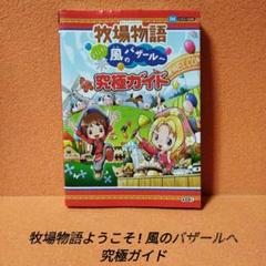 [DS]牧場物語ようこそ!風のバザールへ究極ガイド