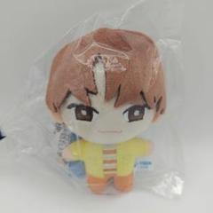 SEVENTEEN セブチ スングァン ぬいぐるみ プラボン 3点セット SEVENTEEN セブチ スングァン ぬいぐるみ プラボン 3点セット