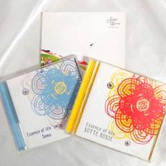 【まとめ売り】SOTTE BOSSE CDアルバム3枚セット