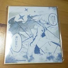 アカメが斬る！ くじ 推しちゃれ D賞 ミニ色紙 アカメが斬る！ くじ 推しちゃれ D賞 ミニ色紙（その着せ替え
