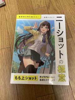 ニーショットの極意 : 女子キャラを魅せる!