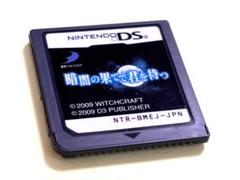 DS 暗闇の果てで君を待つ