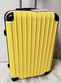 新品☆機内持ち込み可能 スーツケース Sサイズ