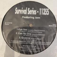 【レア12インチ】Survival Series /11355 12インチ