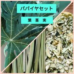 700g×２専用出品　(国産・高品質)乾燥パパイヤの茎 700g (国産・高品質)乾燥パパイヤの茎（無農薬・有機肥料