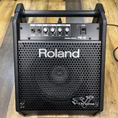 Roland PM-10 V-Drums モニター アンプ Roland PM-10 V-Drum Speaker System /Speaker Amp Amplifier | eBay