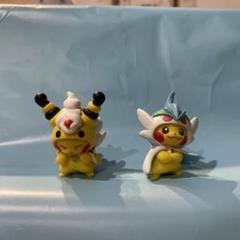 メガエルレイドのポンチョを着たピカチュウ ぬいぐるみ 2025年最新】エルレイド ポンチョの人気アイテム - メルカリ