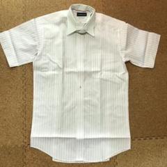 CHRISTIANORANI ワイシャツ 半袖 ピンク形状安定加工 L