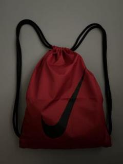 00s NIKE archive ナップサック　ジムサック　90s acg
