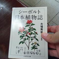 新日本植物誌シダ編　改訂増補版 明倫館書店 / 新日本植物誌 シダ篇 【旧版】