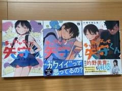 まどわせないで矢守くん 1〜3巻　セット
