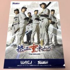 【7月27日限定配布】ヤクルトスワローズ　クリアファイル