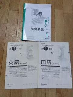 ベネッセ総合学力テスト、高一、