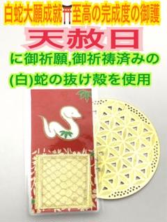Asariさまオーダー＊オーダー白蛇お守り＊３点 えりんさまオーダー＊白蛇抜け殻入りお守り＊3点（えりんさま