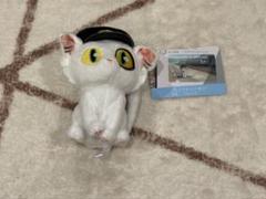 すずめの戸締まり ダイジン ぬいぐるみ マスコット まとめ売り Amazon.co.jp: すずめの戸締まり ダイジン ぬいぐるみ 限定 公式