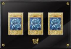 新品未開封 海馬セット アタッシュケース付き 25周年 シクブル