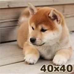 まりまり様 リクエスト 3点 まとめ商品 ひまりひまり様 リクエスト 2点 まとめ商品 - メルカリ