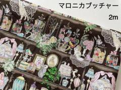 ユキエモン様 専用 yukiemon】RIBBONチェックブラウス_240802000362 | EGAMI O