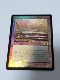 湿地の干潟日本語FOIL 日本印刷