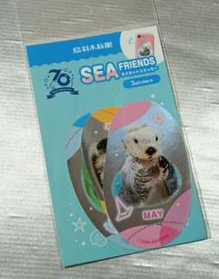 新品 鳥羽水族館 メイキラ セレナ ダイカットステッカー 送料