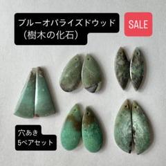 2025年最新】オパライズドウッドの人気アイテム - メルカリ