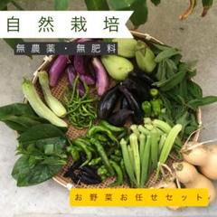 コンパクト 無農薬の自然栽培【おまかせ野菜セット】