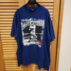 STUSSY　ステューシー　Tシャツ　ベーブルース