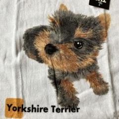 Katie TERRIER PARADE テリアギンガムブラウスグリーン