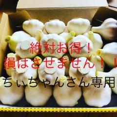 ちぃちゅんさん 専用