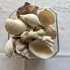 Summer ビーチ リゾート　インテリア　貝殻　ハンドメイド　シェル