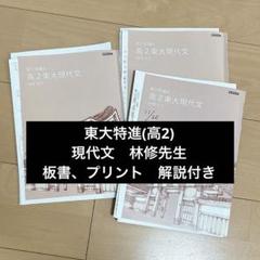 東大特進 高2 現代文 林修先生 板書、プリント付き - メルカリ