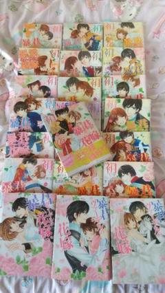 暴君ヴァーデルの花嫁 初夜編の中古 未使用品を探そう メルカリ