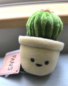 FANS　ふわふわにんじん超ビッグぬいぐるみ6本セット！　お得品 2025年最新】fans ぬいぐるみの人気アイテム - メルカリ