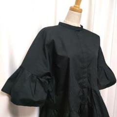 【美品】PASSIONE パシオーネ バンドカラー フリルブラウス 五分袖のサムネイル