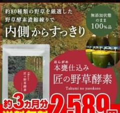 ナノ化した乳酸菌+ビタミン配合♪進化した 匠の野草酵素♡健康 美容 快便 腸活