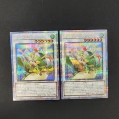 遊戯王　ダイガスタ・ラプラムピリカ プリシク 遊戯王】 ダイガスタ・ラプラムピリカ DAMA(1105)/プリシク の