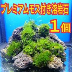 2025年最新】プレミアムモスの人気アイテム - メルカリ
