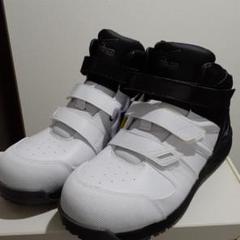 新品未使用 mizuno 安全靴