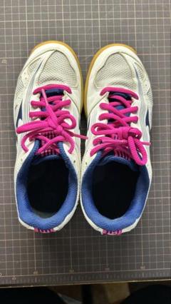 ♡Mizuno Cyclone Speed 3 シューズ♡未使用 MIZUNO Cyclone Speed 3 Men's Volleyball Shoes - V1GA218002