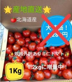 規格外トマト20キロ 北海道産 ミニトマト 規格外 1Kg →1.2kgに増量 - メルカリ