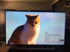 東芝 43m53 X 4k液晶レグザ 4kチューナー内蔵 43v型の中古 未使用品を探そう メルカリ 東芝 43m53 X 4k液晶レグザ 4kチューナー内蔵 43v型の中古 未使用品を探そう メルカリ