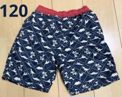 男の子 恐竜柄 水着 120 スイムウエア 海パン