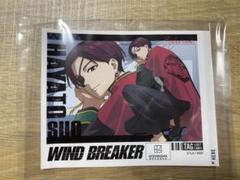 WIND BREAKER 自販機　ラベル缶　蘇枋隼飛のサムネイル