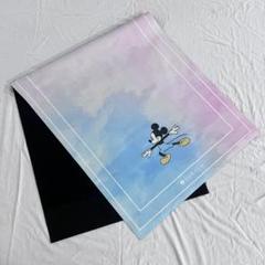 新品未開封LAVA SUKALA トラベルヨガマット ディズニー ミッキー