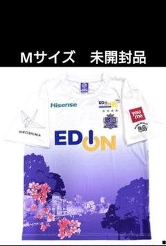 サンフレッチェ広島　24ピースマッチ　コンフィットTシャツ　ユニフォーム 24-25-regina-comfit-t-shirt-