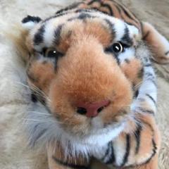 トラ ティッシュカバー